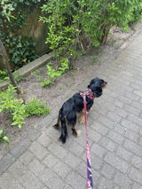 Sindy Hartig review photo