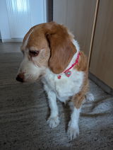 Claudia review photo