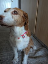 Claudia review photo