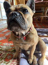 Ruth review photo