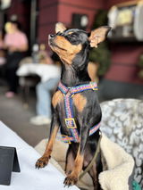Garcia de Ceca review photo
