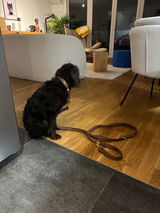A. Merz review photo