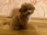 Doreen review photo