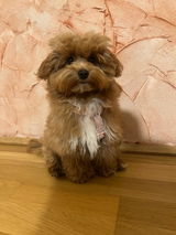 Doreen review photo