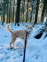 Beate und Frida review photo