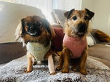 Lulu und Molly review photo
