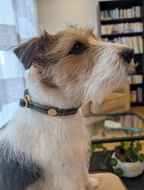 Leopold review photo