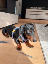 Charlie review photo