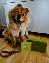 Nini review photo