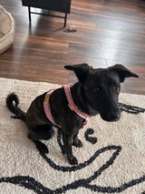 Susanne Möller review photo