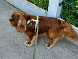 Humboldt, 7 Jahre review photo