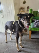 Jasmin review photo