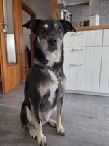 Jasmin review photo