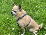 KASIMIR review photo