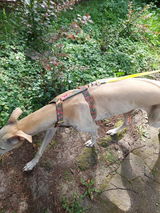 Andrea review photo