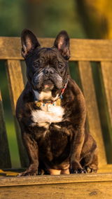 Johanna A. review photo
