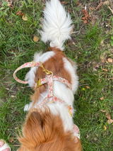 Tini review photo