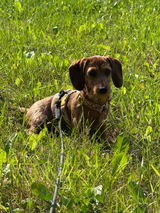 Beate review photo