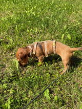 Beate review photo