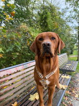 Nadia review photo