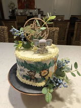 Debbie Campain review photo