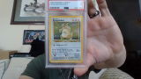 Justin Elko review photo