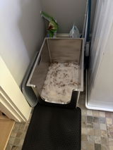 Anonymous review photo