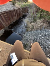 Anonymous review photo