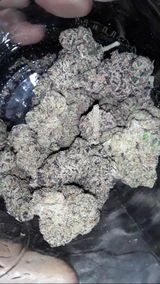 brelva review photo