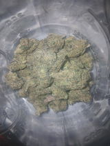 Austin G. review photo