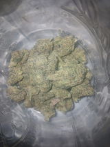 Austin G. review photo