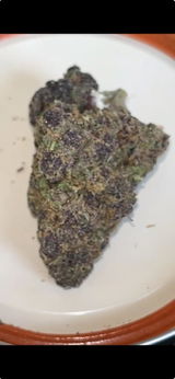 Joshua C. review photo