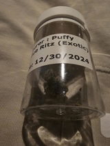 Kevin s. review photo