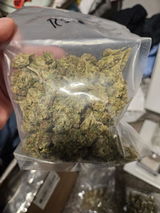 DT review photo