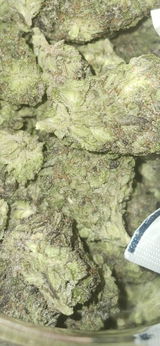 Tupac g. review photo