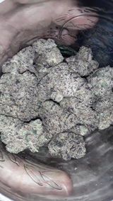 brelva review photo