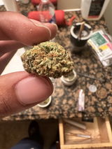 Kp b. review photo