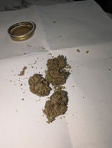 Gabriel P. review photo