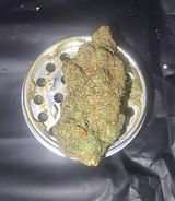 PatrickStar review photo