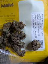 B.C. review photo