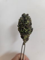 Joseph D. review photo
