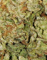 Chainsaw R. review photo