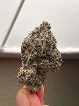 zachedelic review photo