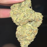 Ed's d. review photo