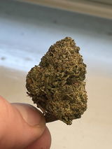 zachedelic review photo