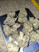 Sage M. review photo