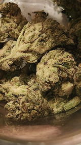 That o.b.g. review photo