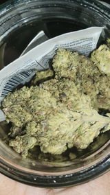 That o.b.g. review photo