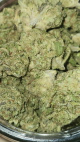 That o.b.g. review photo