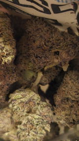 That o.b.g. review photo